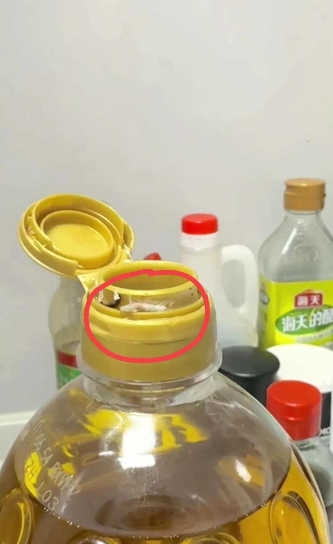 胖东来自营菜籽油，打开盖子后出现了能动的虫子。
这真的很吓人，还是活的，你说这虫