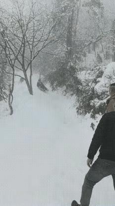 难道说 这不是亲儿子？
欣赏小视频
下雪的季节，和家人滑雪并享受着美丽的雪景是一