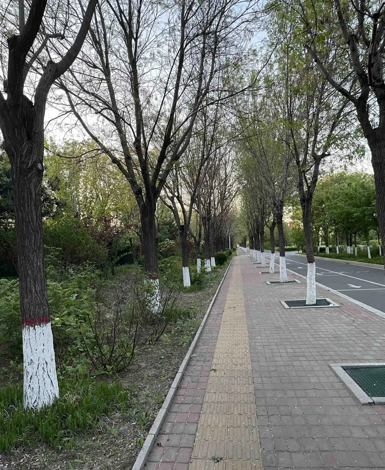 这两天跟着弟弟一家出去旅游，加油、吃饭、住宿、景点门票都是弟弟花的钱，我一分没出