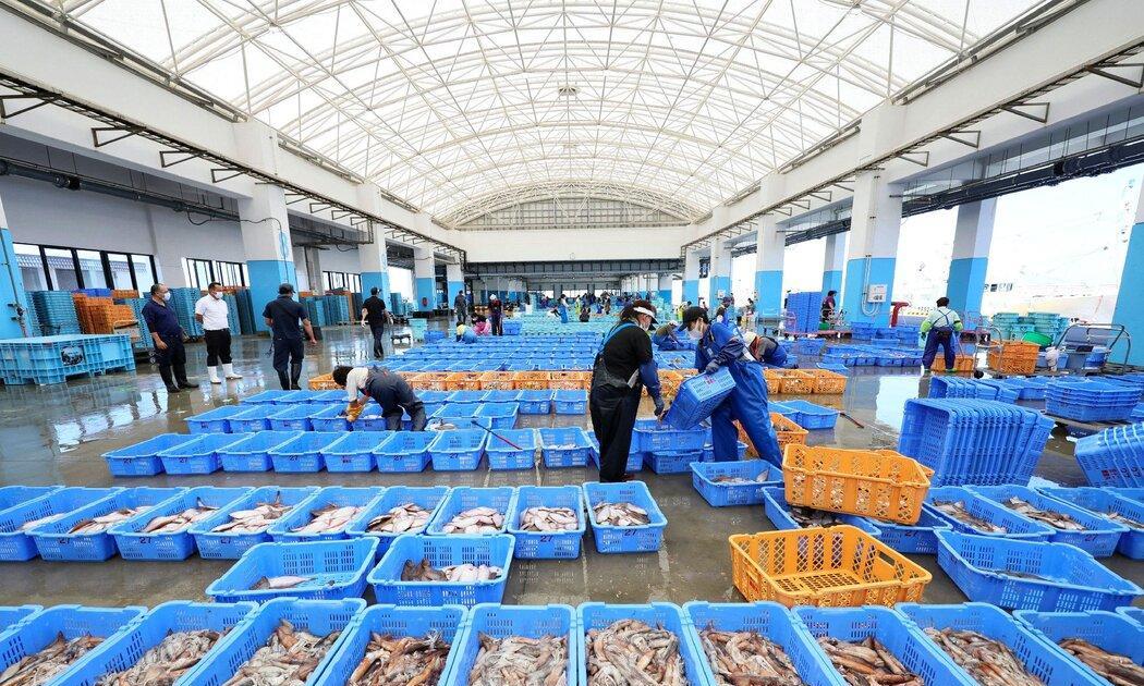 中国确认恢复进口日本水产品，引起外界高度关注。
我海关总署对外发布公告称，鉴于国
