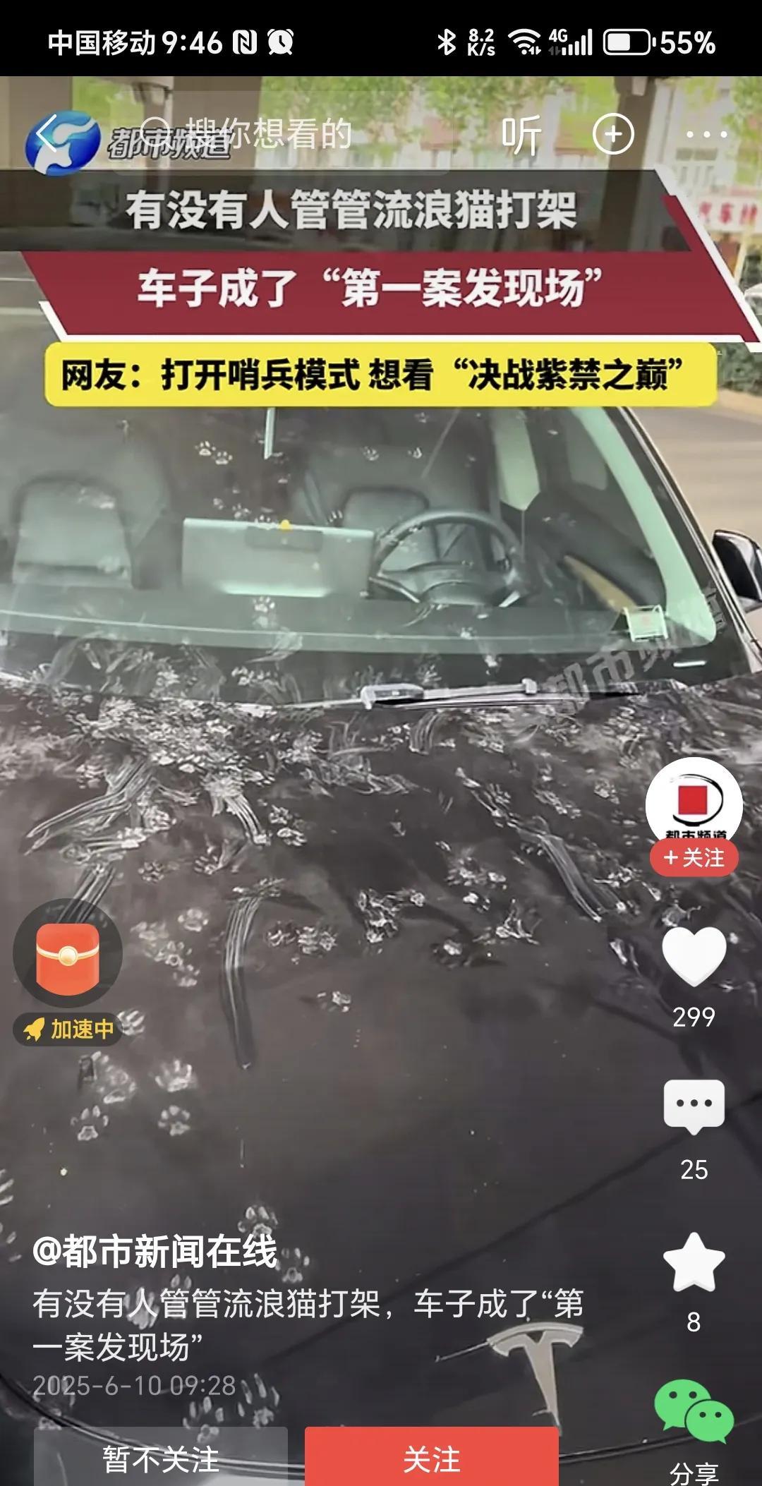 流浪猫打架，把这车子给嚯嚯的不成样子。
河南电视台都市频道发布的视频，一个车子引