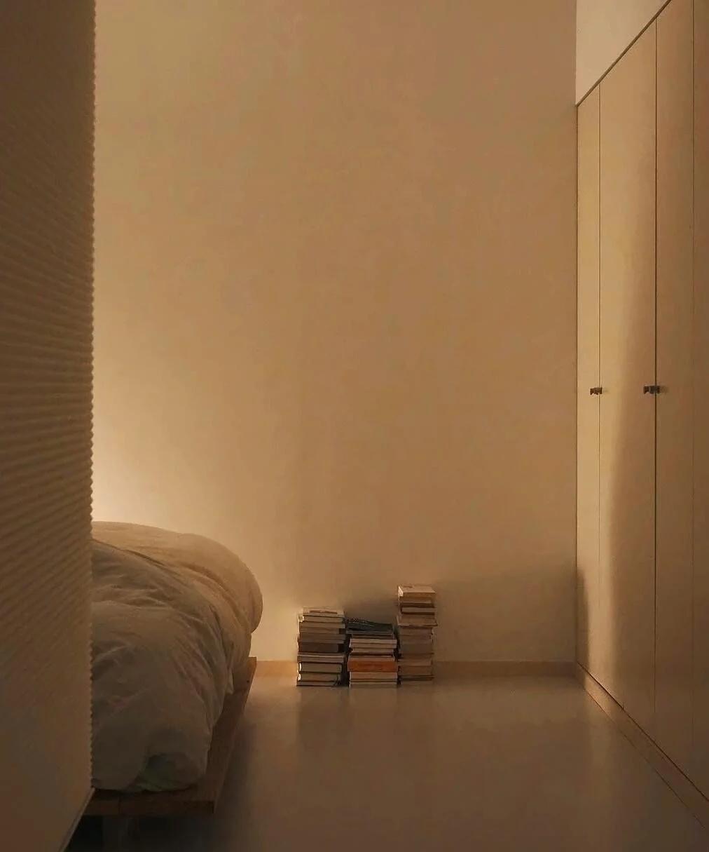 在我的印象中，作家的家里，应该堆满书籍，可以乱，充满书香气。
但是这位日本作家，