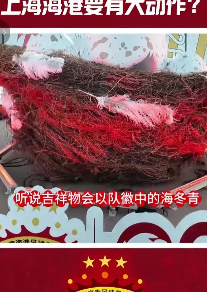 申花球迷意想不到！海港20周年庆的吉祥物竟然是海东青！海东青的寓意是神鸟！像神一