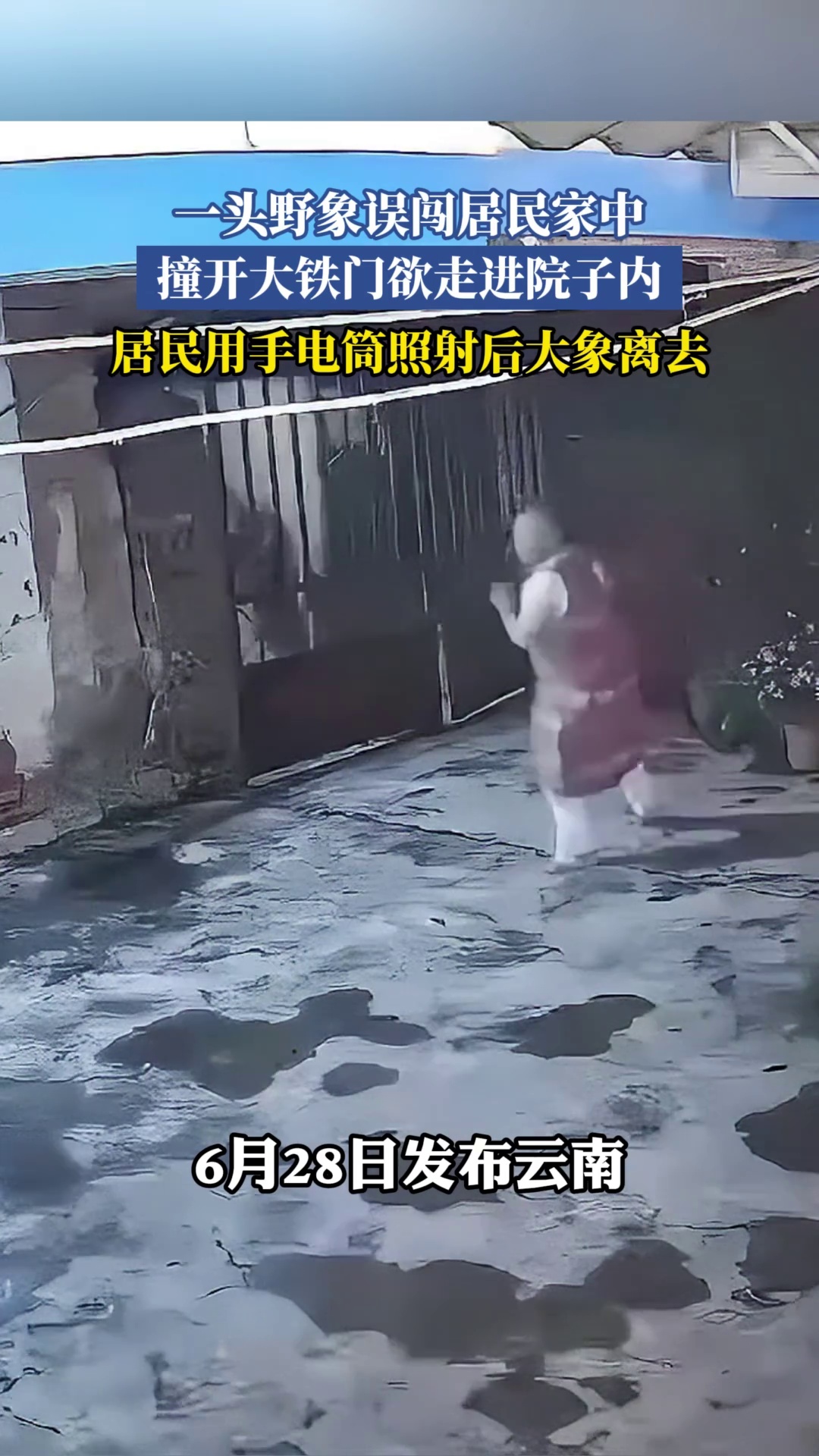 一头野象误闯居民家中，撞开大铁门欲走进院子内，居民用手电筒照射后大象离去