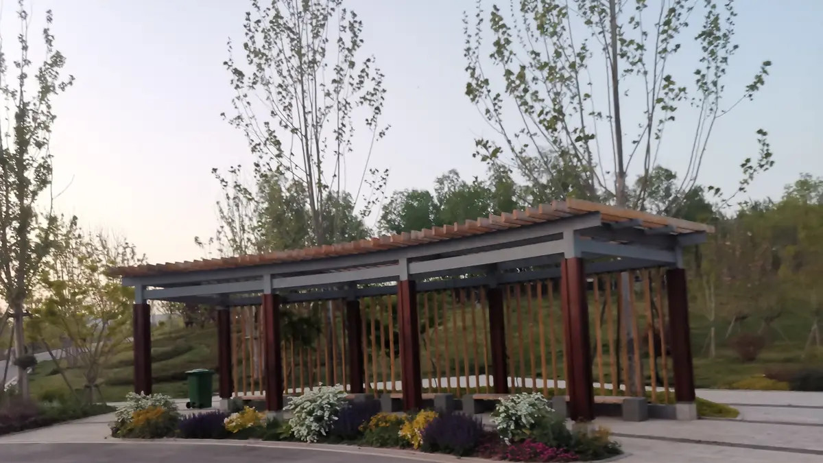 眼里有诗，自在远方