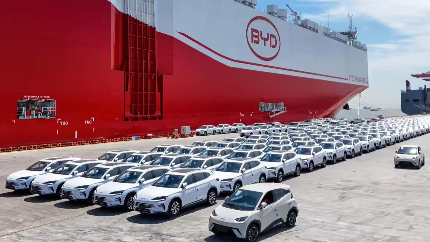 前十一月统计出炉，比亚迪全球多市场夺冠，多国销量超越特斯拉