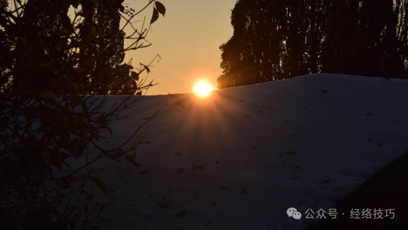 小雪到，这15天要“藏阳”了！这4种动风的食物要少吃，多喝这碗汤，尤其是体质偏热的人