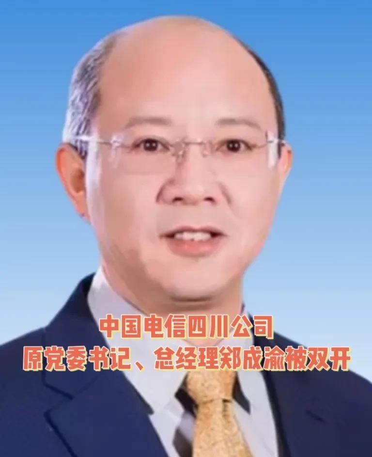 中国电信四川公司党委书记、总经理郑成渝被双开！  这起事件的背后，或许只是冰山一