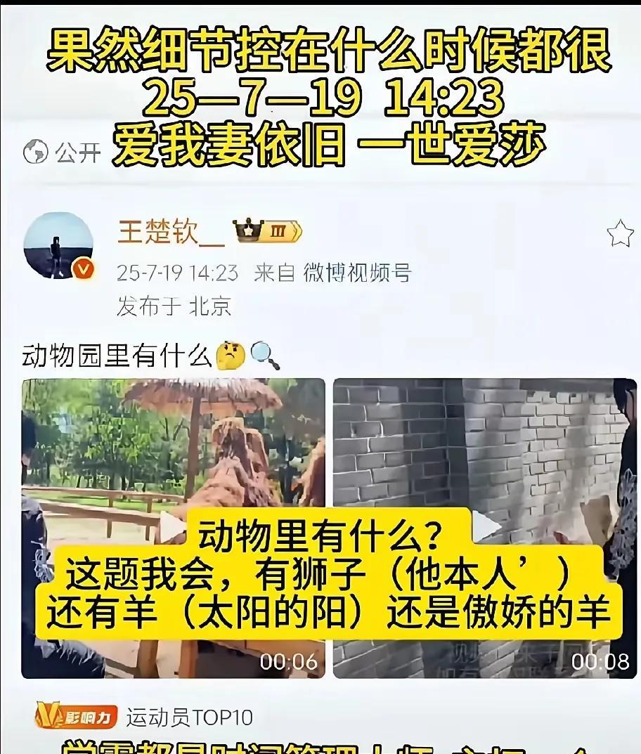 王楚钦一条动物园帖，4小时破8亿阅读！
网友放大一百倍，发现狮子笼编号1217，