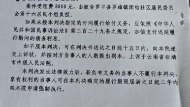 云南罗平县法院执行进度缓慢，效率与公信力引质疑