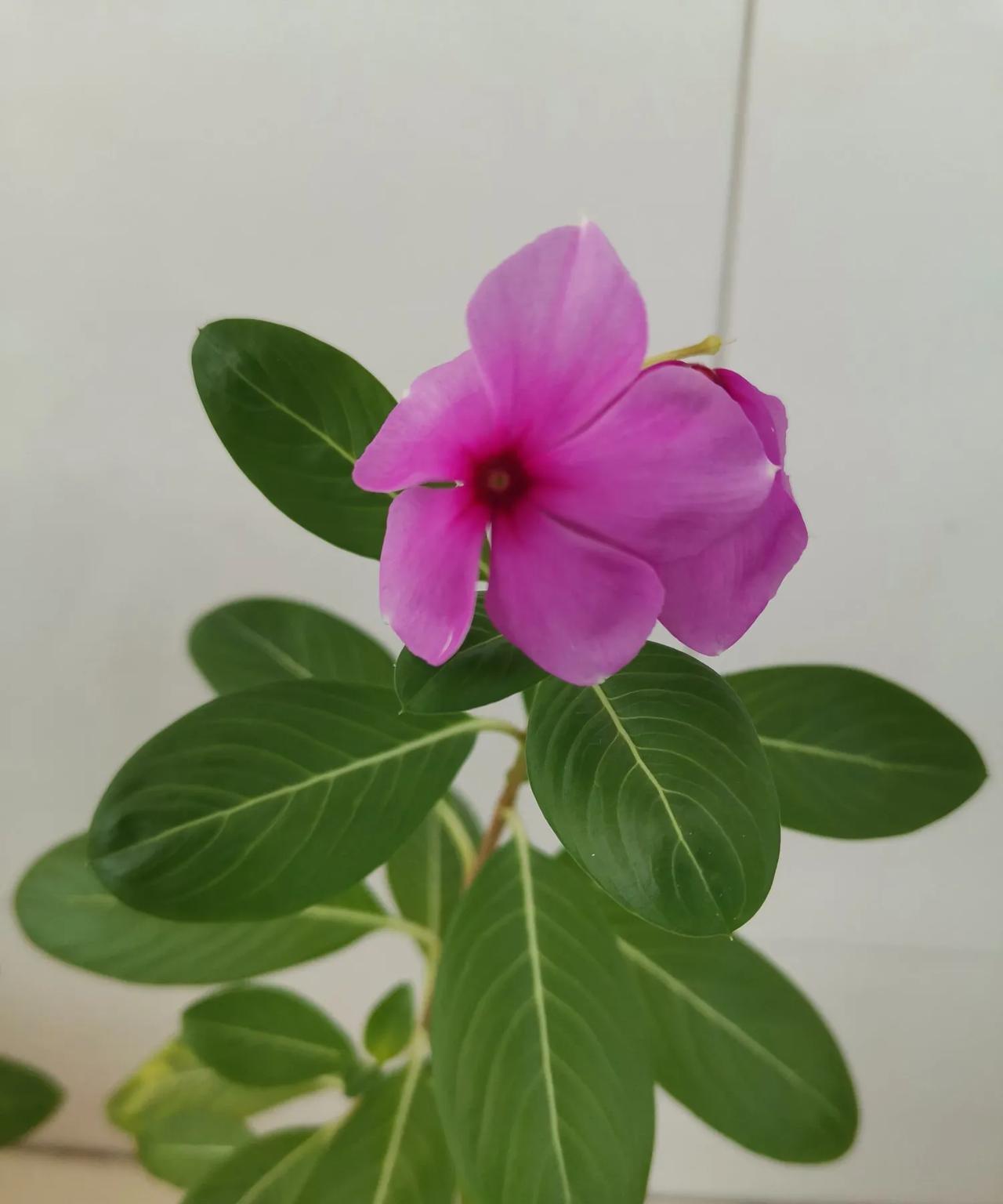 努力是一种生活态度
只要有前进的方向和目标
什么时候开始都不晚
岁月常常带走我们