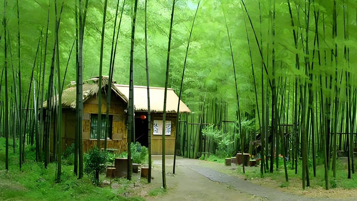 我劝你，别再“睡前玩手机”了