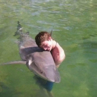 哈基米哦南北绿豆