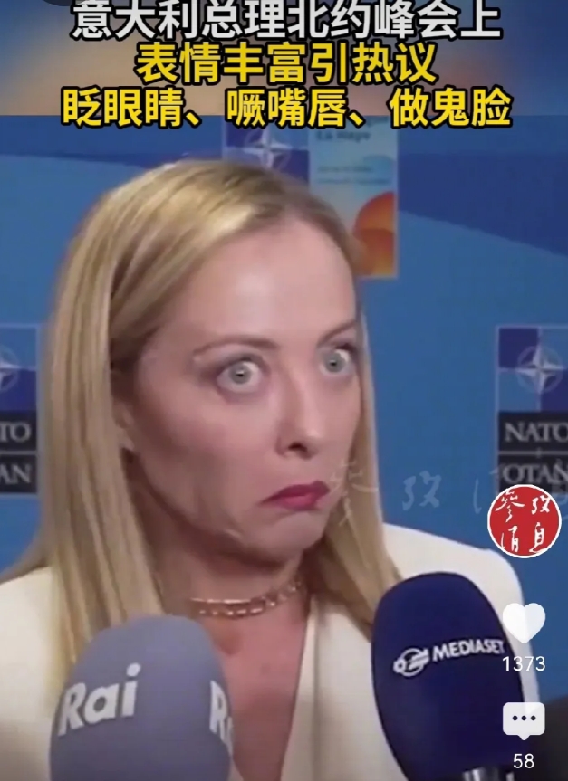 严重双标，北约峰会上梅洛尼让特朗普难堪？
6月25日，在海牙举行的北约峰会上，意