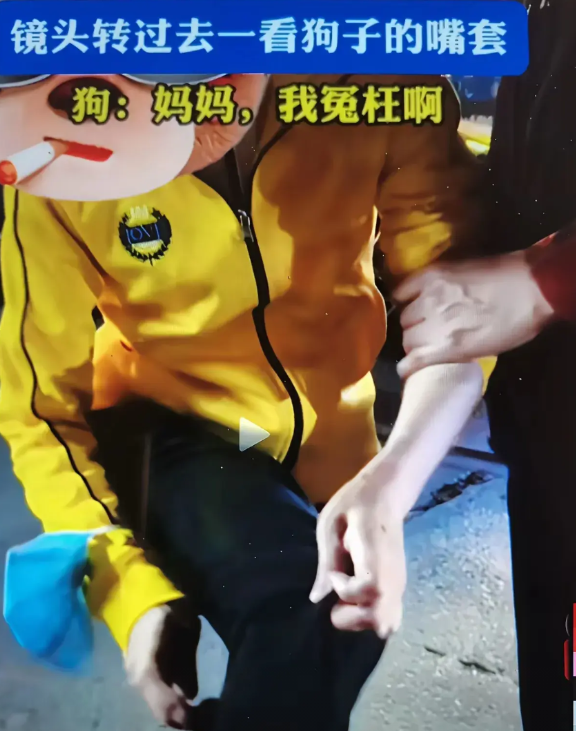 当碰瓷遇上自律，就只能尴尬自嗨。
大妈怒斥大叫，我被狗咬了，腿好疼。

一边惊恐