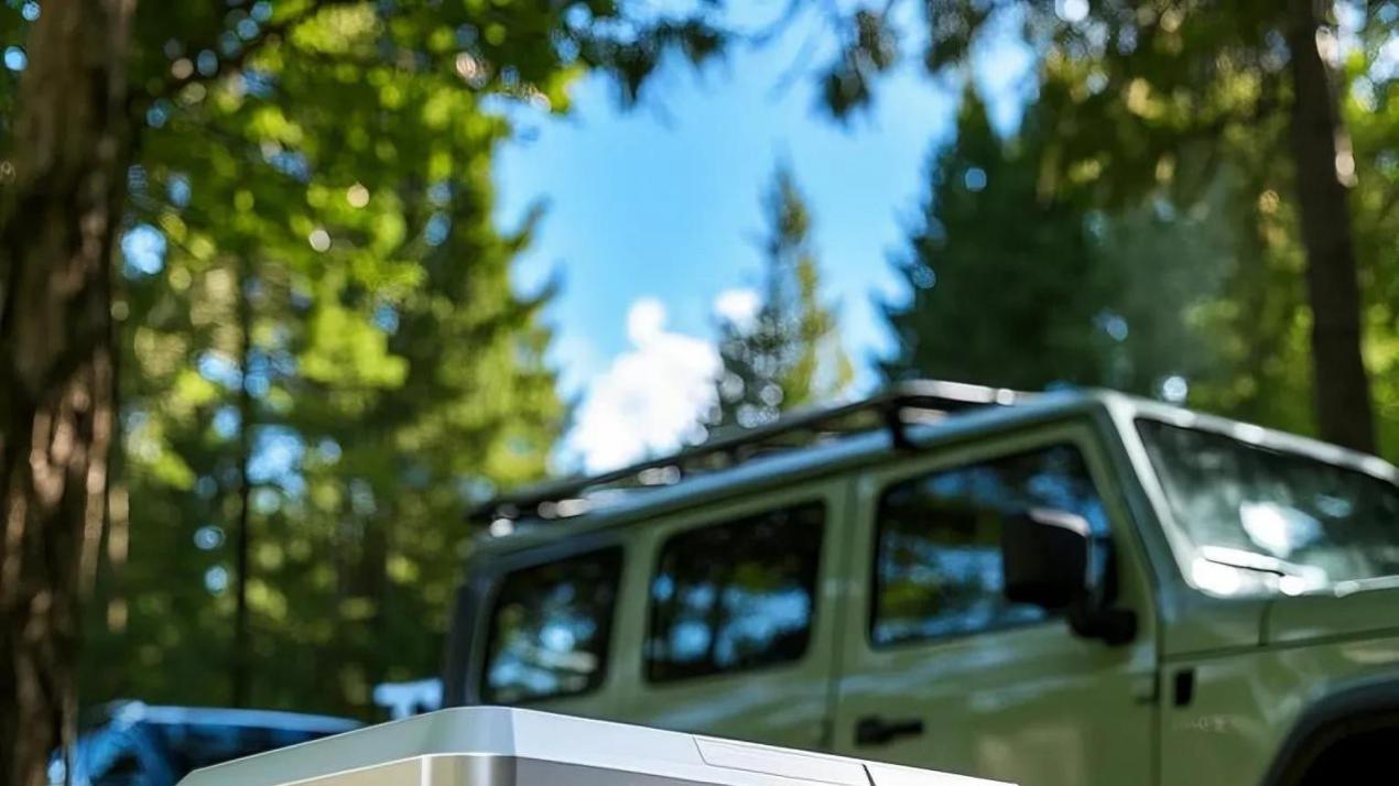 退休自驾必看！车载冰箱用错比隔夜菜还危险？老司机血泪教训