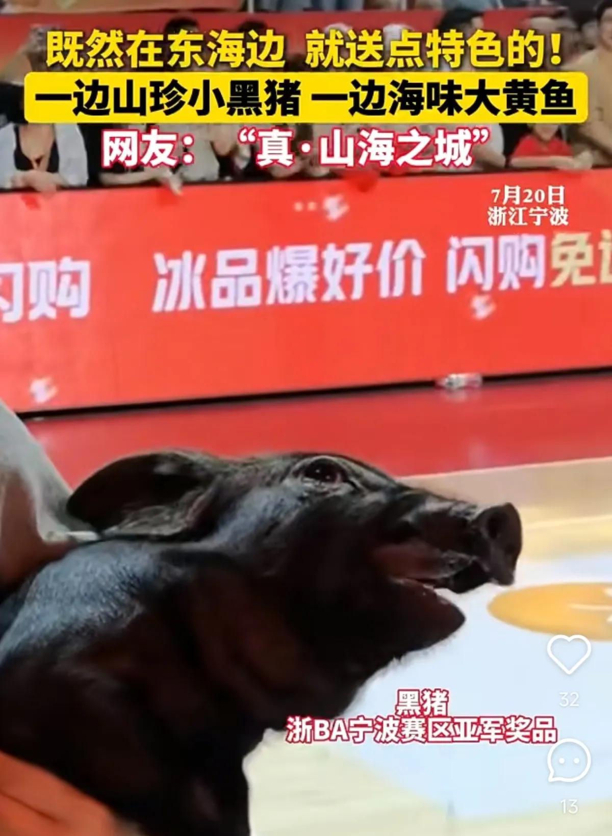 贵州的“村BA”奖品常常是一头牛，而另一项草根体育赛事—浙BA，奖品竟然是一头黑