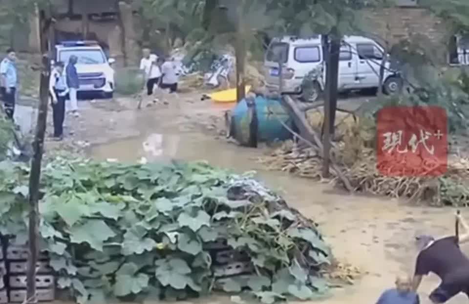 太康一老人积水中倒地，民警不扶被处分。
周口市太康县王集乡葛岗村近日下了大雨，