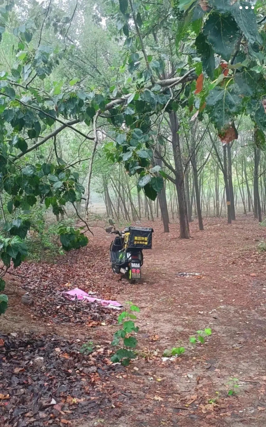 这是谁点的外卖，荒郊野岭的，吓死宝了