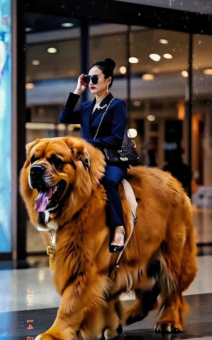 网传郑州将禁止早晚遛狗？
“禁止早晚遛狗”系谣言。
郑州：明确规定禁止带狗去人多