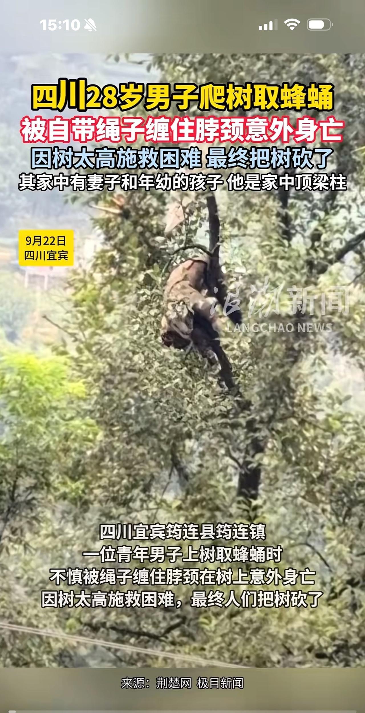 可怜！一位28岁小伙子爬树取蜂蛹，自带绳子意外缠脖，由于大树太高，施救困难，他被