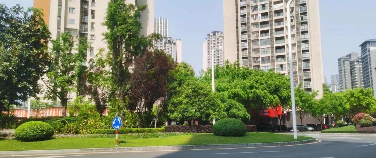 据说，杭州加强了养犬的管理，需要办证，办证费上千元，真是太给力了。规定了禁止遛狗
