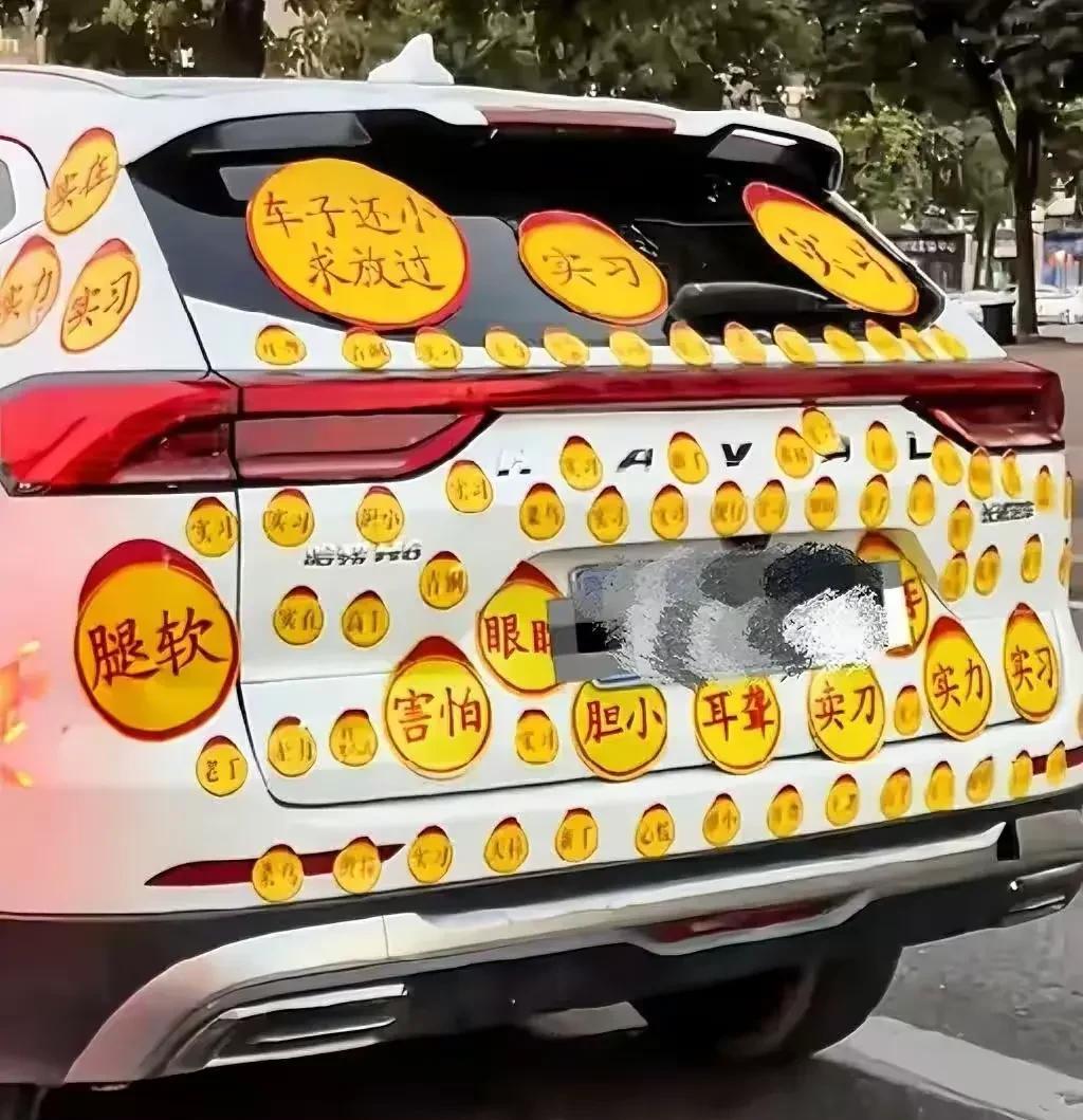 这条路都是他的，我们是借用的。