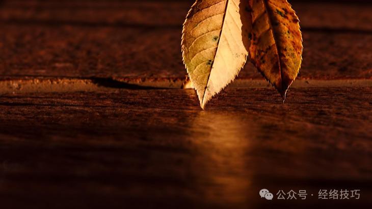 办法很“土”，但补气养血非常快，冬天再也不怕冻手冻脚了