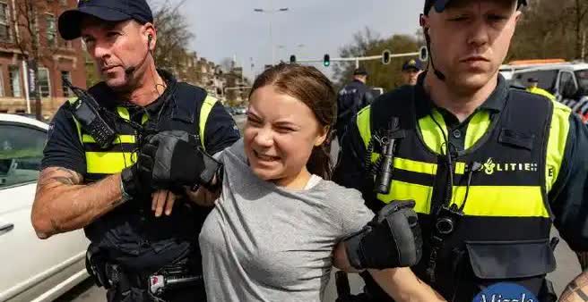 环保少女又被以色列抓了，
她希望瑞典政府能解救她，
瑞典能为了她去找以色列低