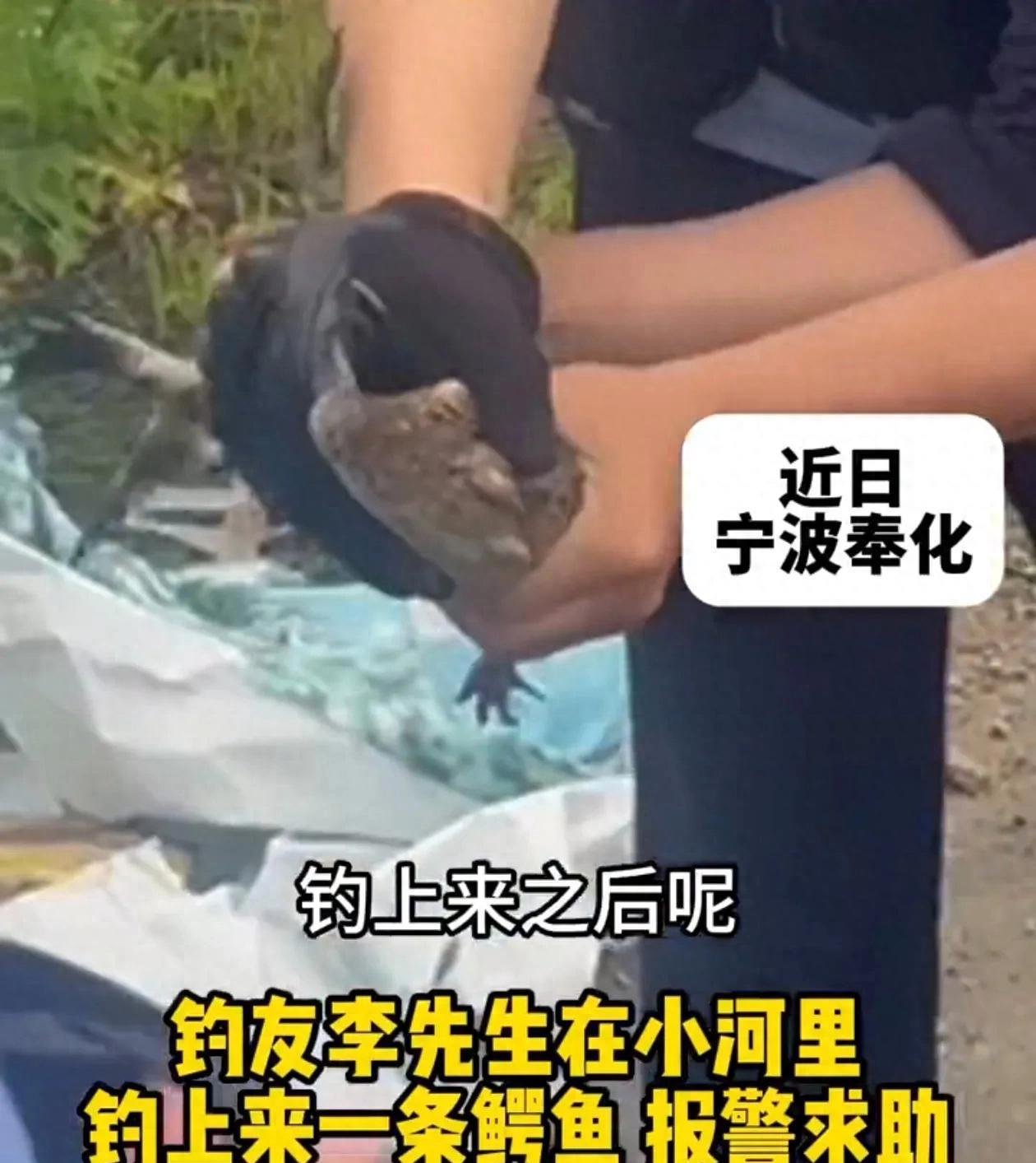 “离了个大谱！”近日，浙江宁波，一男子在河边钓鱼时，觉得手上的鱼竿非常沉重，他以