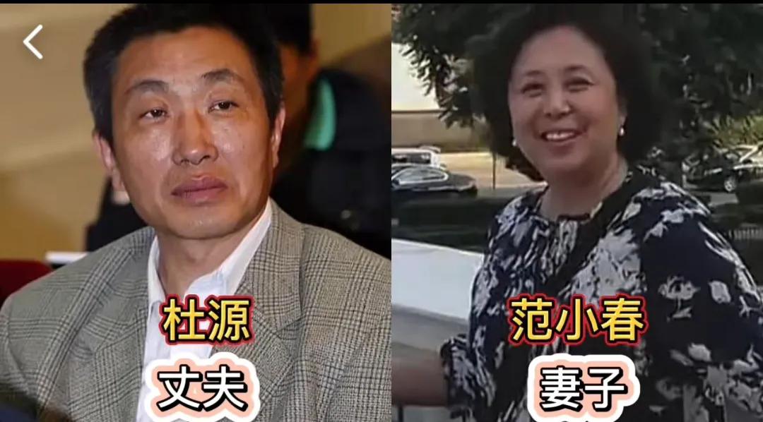 在娱乐圈这个充满诱惑的名利场中，有这样一群男星，他们用行动诠释着对爱情的忠诚。他