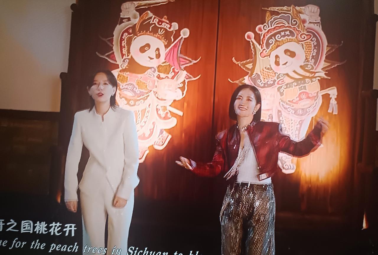 今年的中秋晚会，谢娜震撼到我了，说实话一直不喜欢她疯疯癫癫的样子，而今年的中秋，