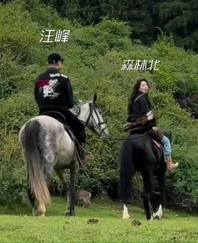 又有大新闻啦！有网友在新疆偶遇了汪峰的女朋友森林北，这画面简直绝了：雪天里的“韩剧女主”