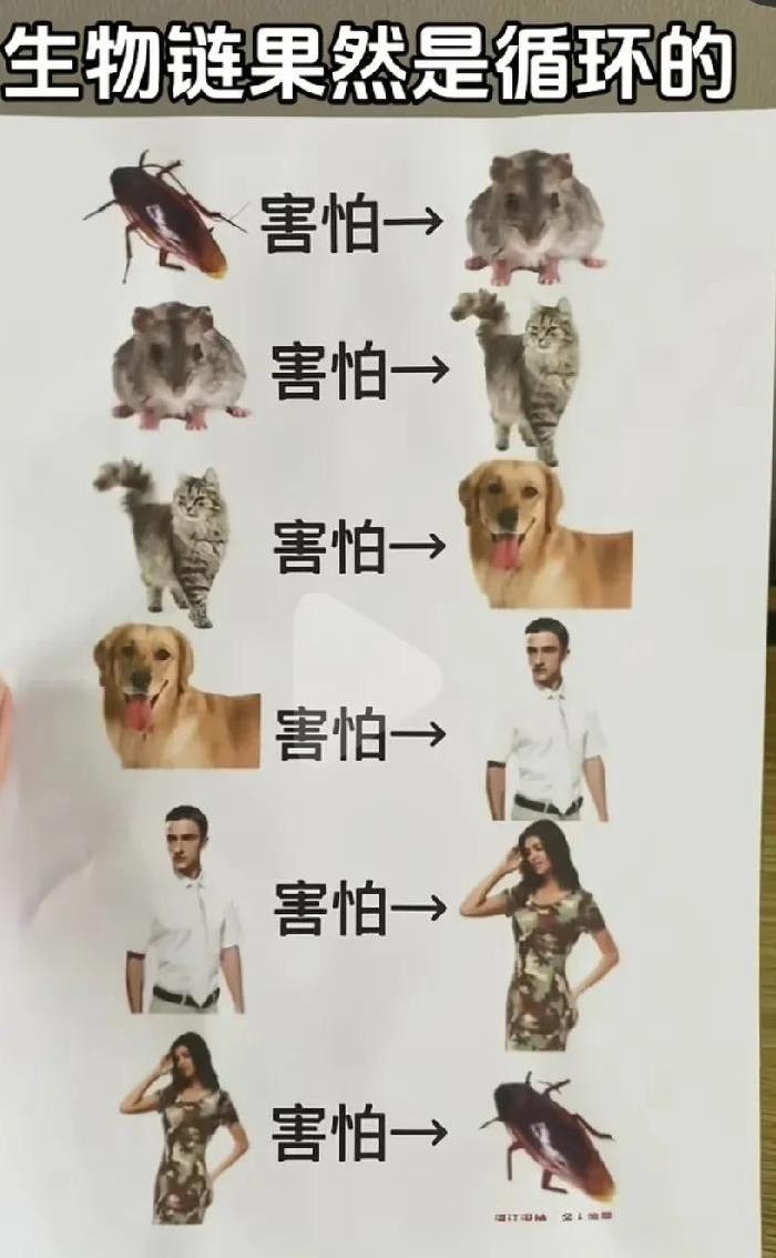 这个世界果然是有轮回的，转了半天形成了一个闭环呀！
科学的尽头那必须是玄学啊，你