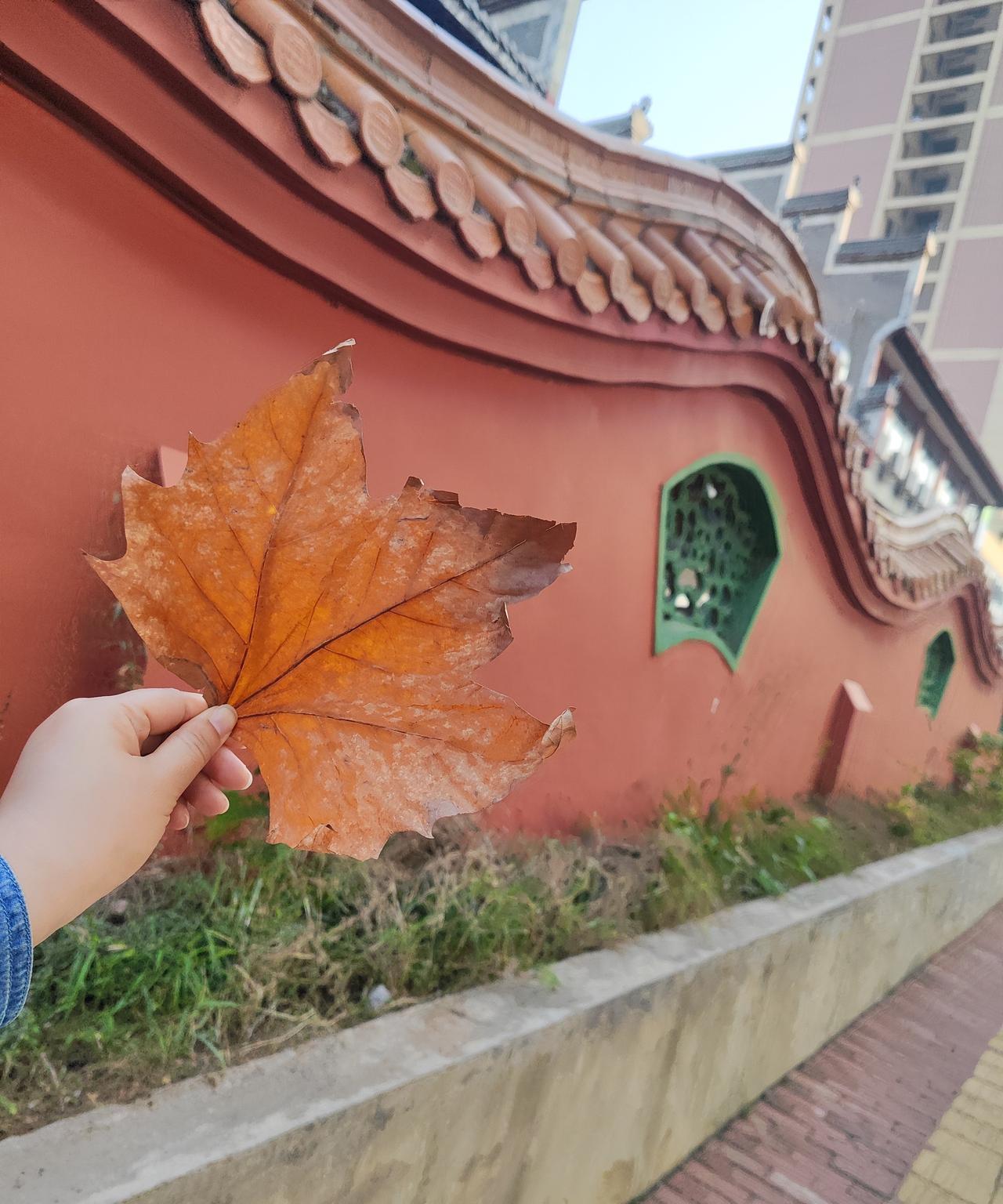 我没选择小龙虾和臭豆腐，因为我不喜欢这两样食物的口味，我吃了好几天的米粉，口感是