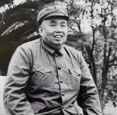 1980年，退居二线的许世友回到南京中山陵8号居住。在北京的时候，作为中央顾问委