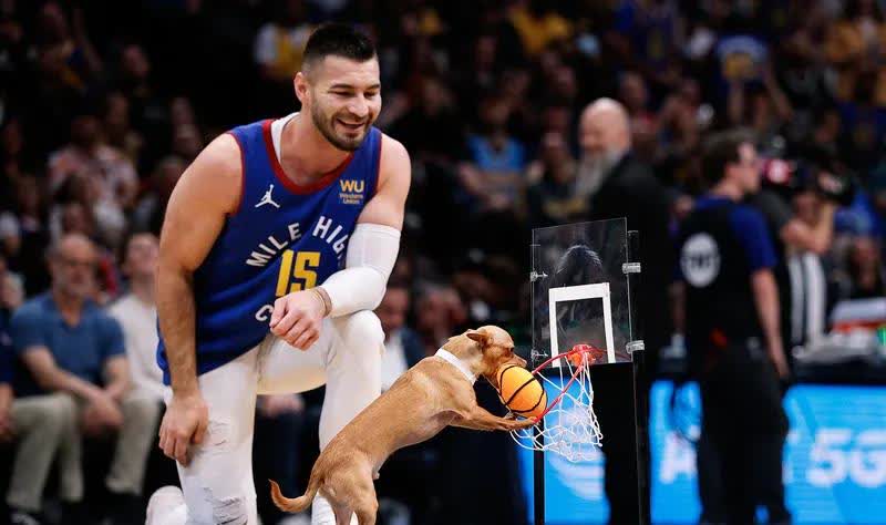 - 体育：2025年4月9日，掘金在NBA常规赛还剩3场时解雇了主教练迈克尔·马