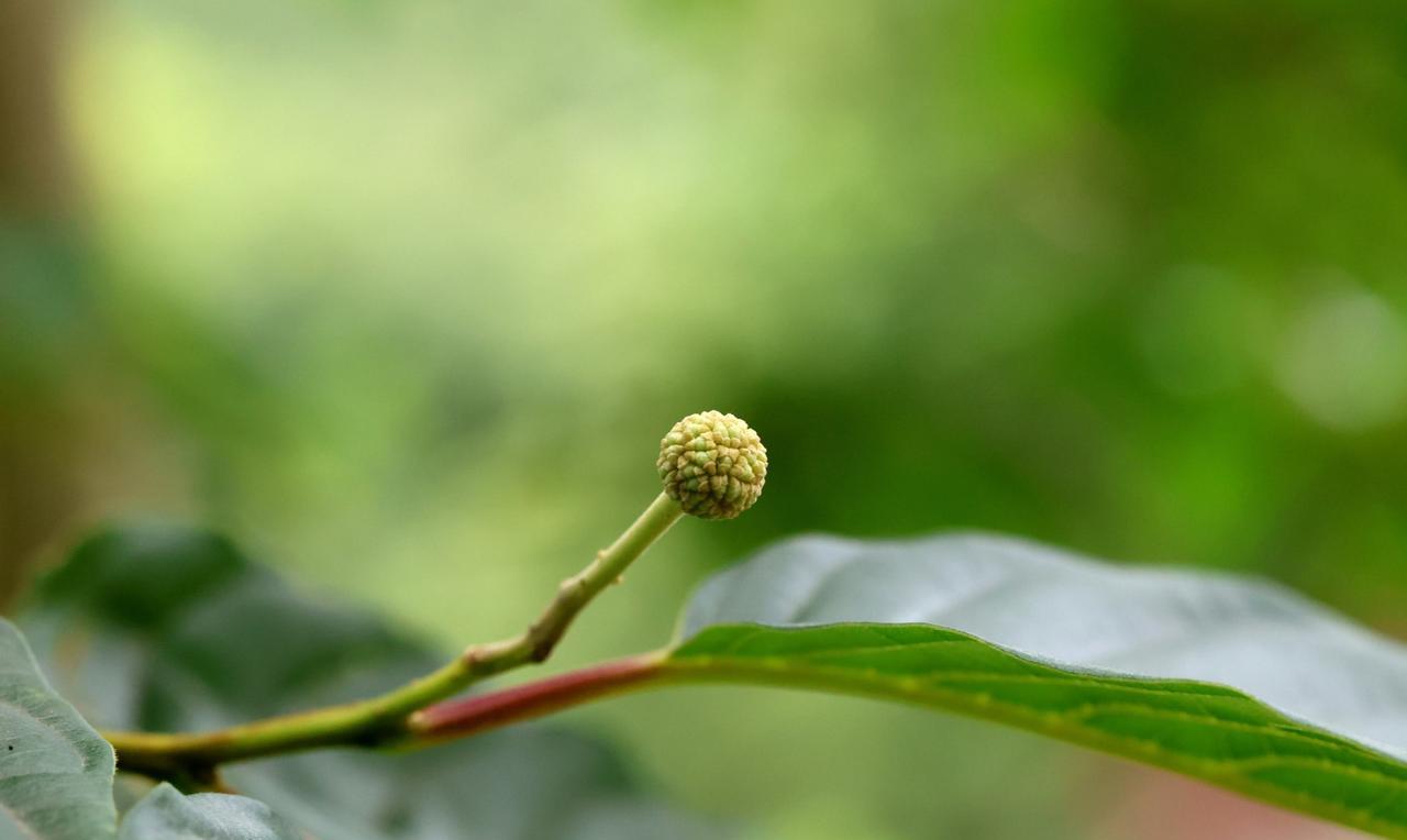 父亲的宽大格局，母亲的良好情绪，就是一个家庭最好的风水。
