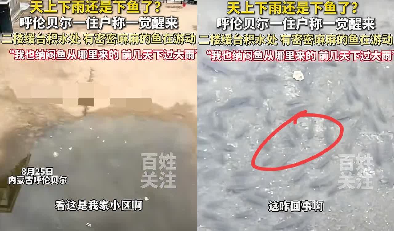 彻底解释不清了！内蒙古呼伦贝尔，男子一觉醒来，扒窗一看直接懵圈！楼下那滩前几天下
