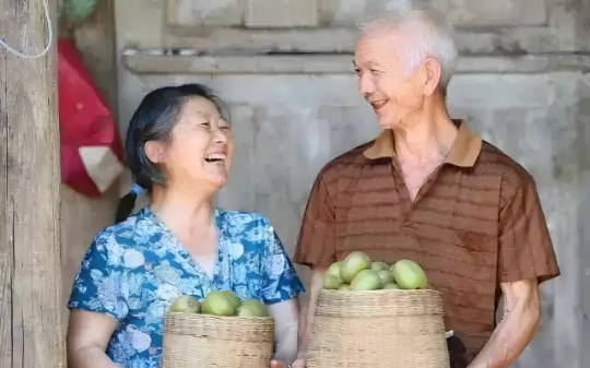 本是同根生，同根不同命。佳沛奇异果与国产猕猴桃的现实境遇
