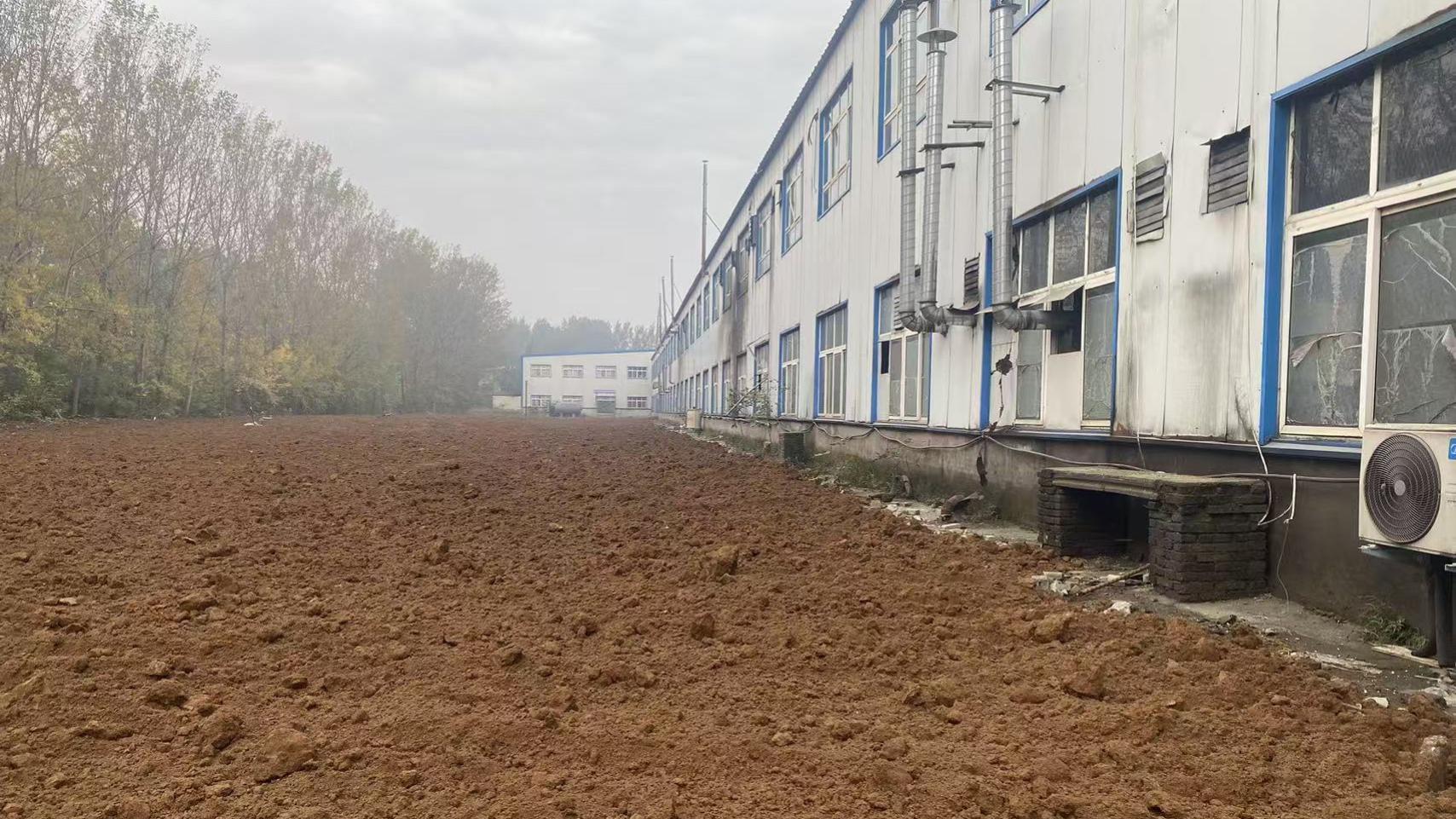 漯河市源汇区一农民铲掉麦苗百余亩建厂房 自然资源和规划局暂无回应