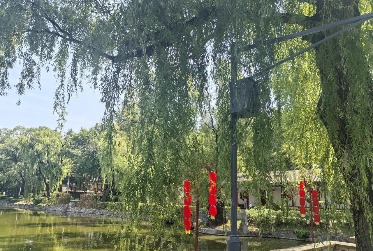 街角邂逅了一个十多年未见的邻居，虽然只说了廖廖几句话，我就已经判定，他日子过得不