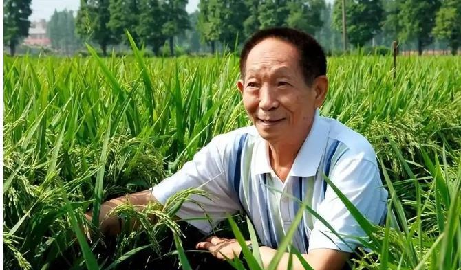 应该立即死刑！2024年4月，央视新闻揭露了一桩骇人听闻的案件：我国杂交水稻之父
