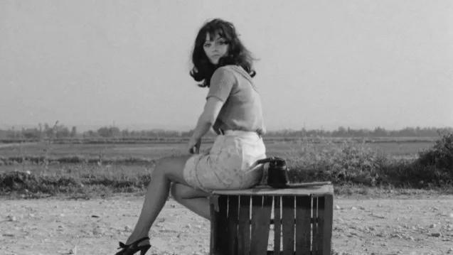 妥协后的左翼，他比小资更虚伪