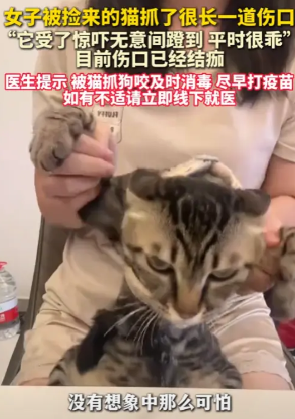 “这下长记性了！”近日，广东，一女子被捡来的猫，抓了一道很长的伤口，然而，女子却