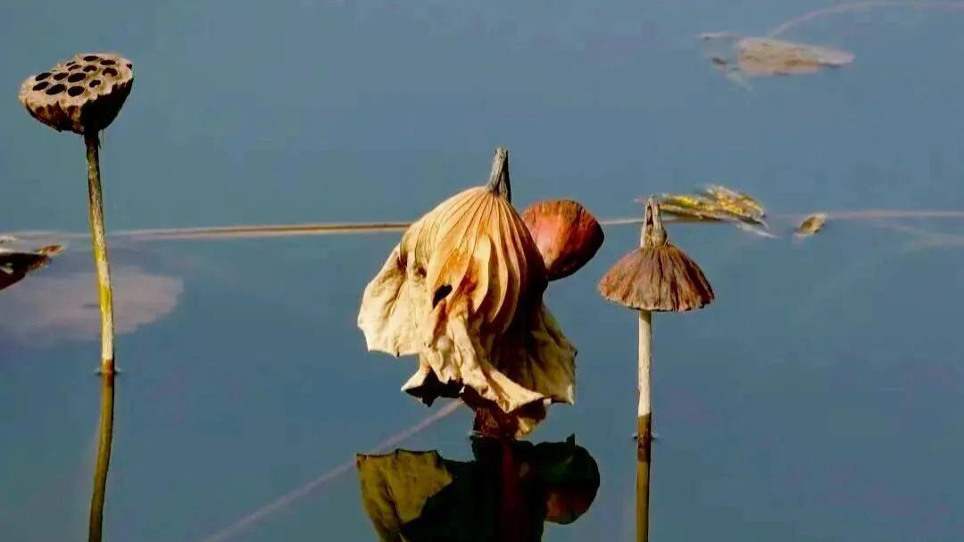 随笔：天空之下，总有安慰