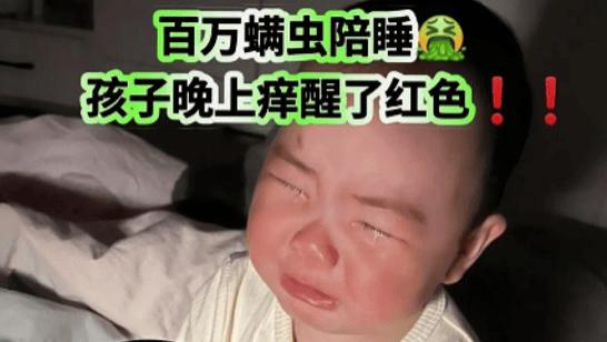 除螨仪哪个品牌好用？家用除螨仪怎么选？十大除螨仪品牌排行榜测评，口碑常青款抢先看！