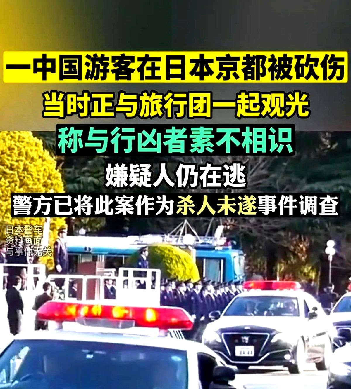 新宿无差别伤人，中国游客无辜被砍











---







