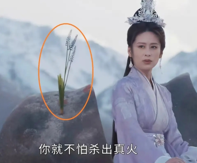《凡人修仙传》：原本以为黄枫谷够简陋的了，没想到掩月宗有过之而无不及！

越国七