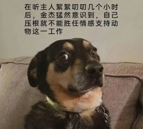 不能胜任这份工作